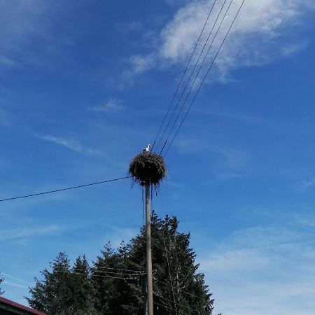 Schwarzwald Appartement Steinen (Lorrach) Exterior foto
